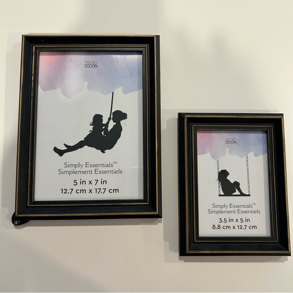 Studio Decor Brown and Gold Picture Frame Duo NWT